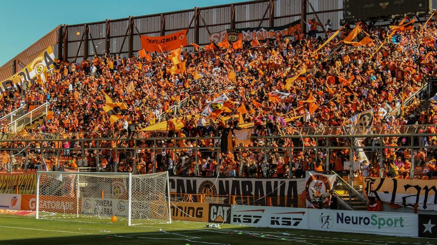 江南体育 APP — 营业执照与资质公示示意配图